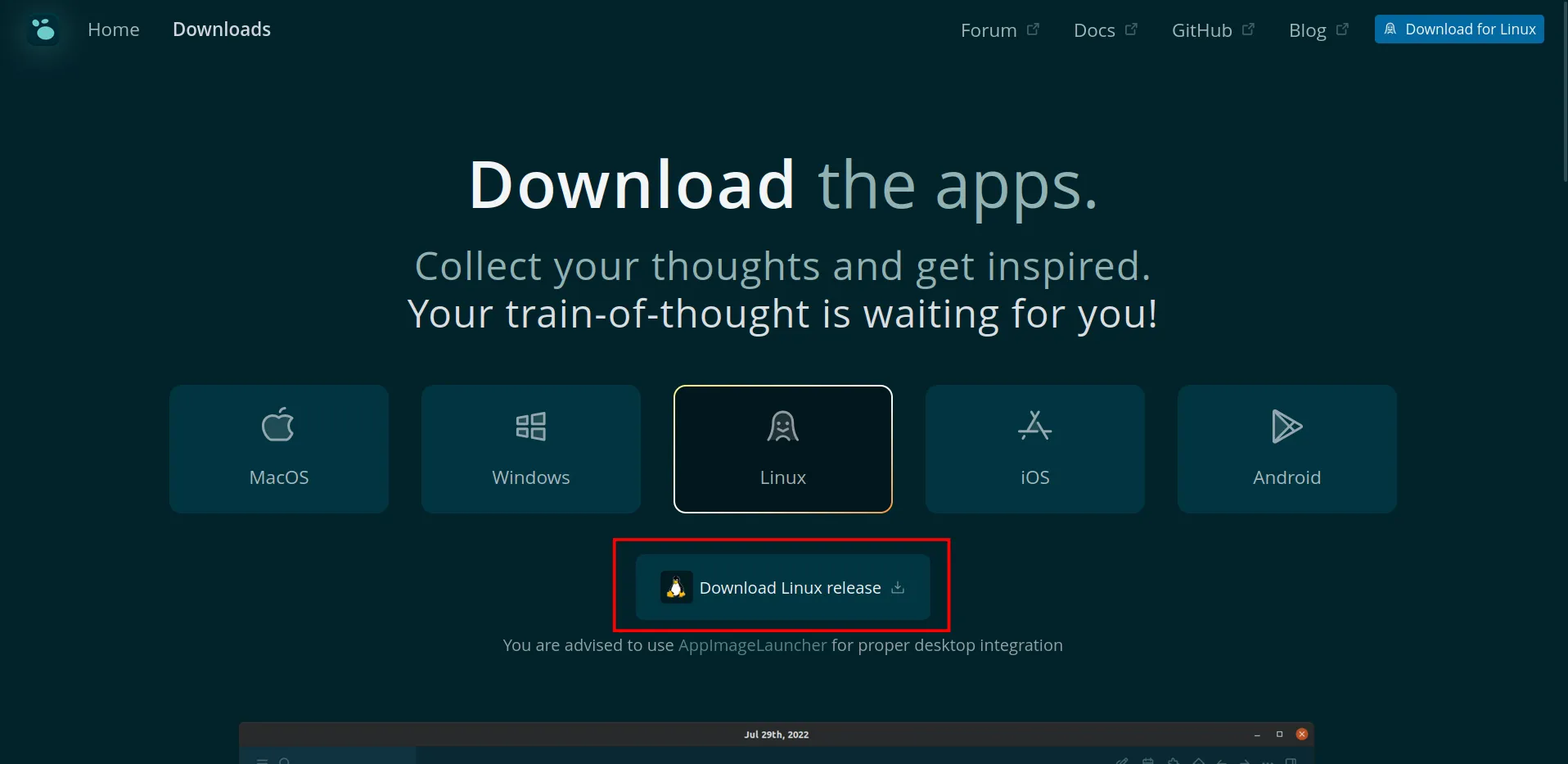 alt text